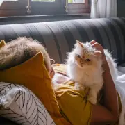 A photo of a person lying on a couch, with a cat sitting on their chest.