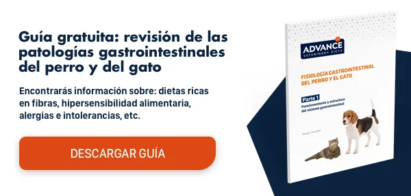 Descarga el informe: Leishmaniosis canina Descarga el informe: Leishmaniosis canina