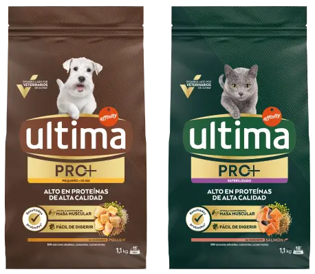 Alimentazione completa per gatti e cani
