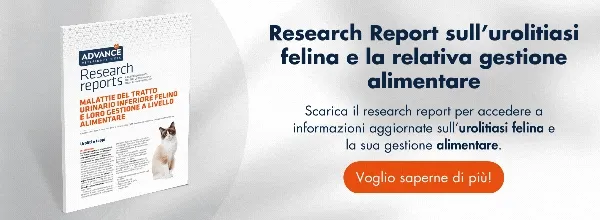 Research Report Urinary Research Report Urinary