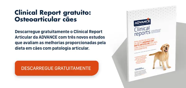 New call-to-action New call-to-action