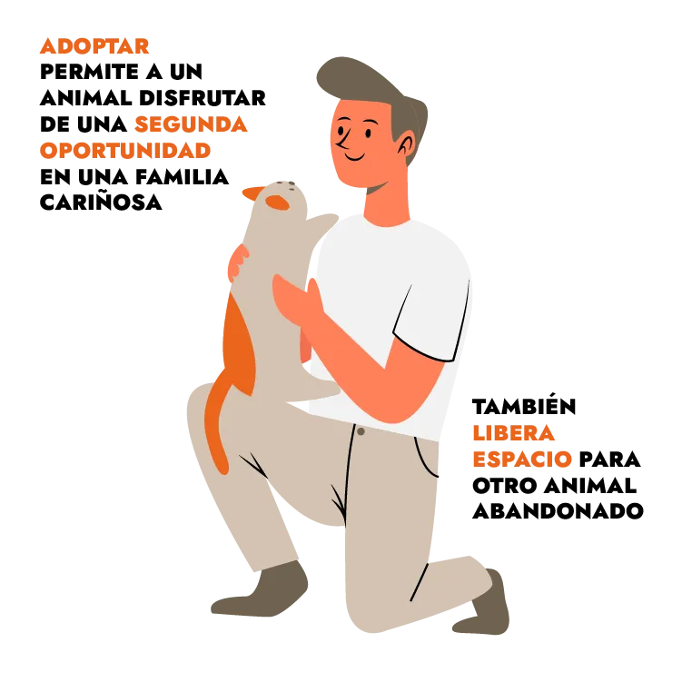 Razones para adoptar