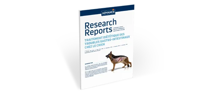 Research ReResearch Reports Traitement diététique des troubles gastro-intestinaux chez le chien Research ReResearch Reports Traitement diététique des troubles gastro-intestinaux chez le chien