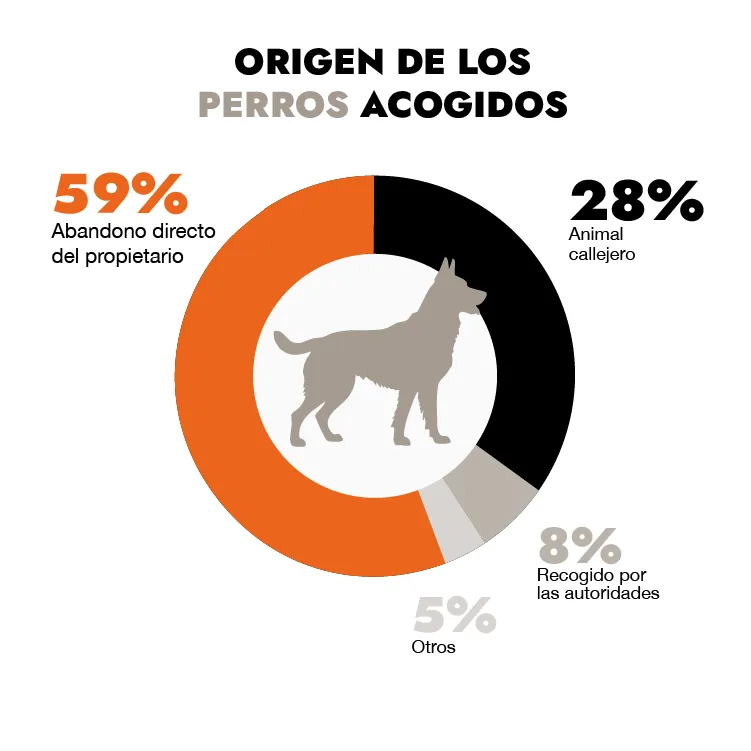 Origen de los perros acogidos en Francia