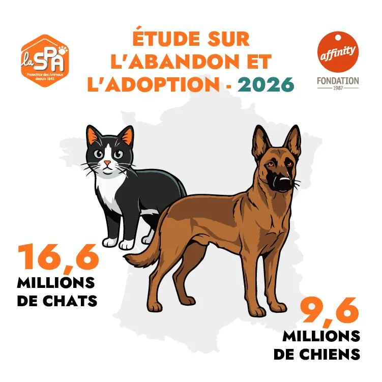 Datos de animales abandonados Datos de animales abandonados