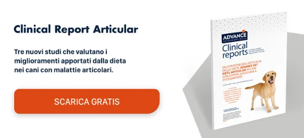 Clinical Report GRATIS → Tre nuovi studi che valutano i miglioramenti apportati dalla dieta nei cani con malattie articolari Clinical Report GRATIS → Tre nuovi studi che valutano i miglioramenti apportati dalla dieta nei cani con malattie articolari