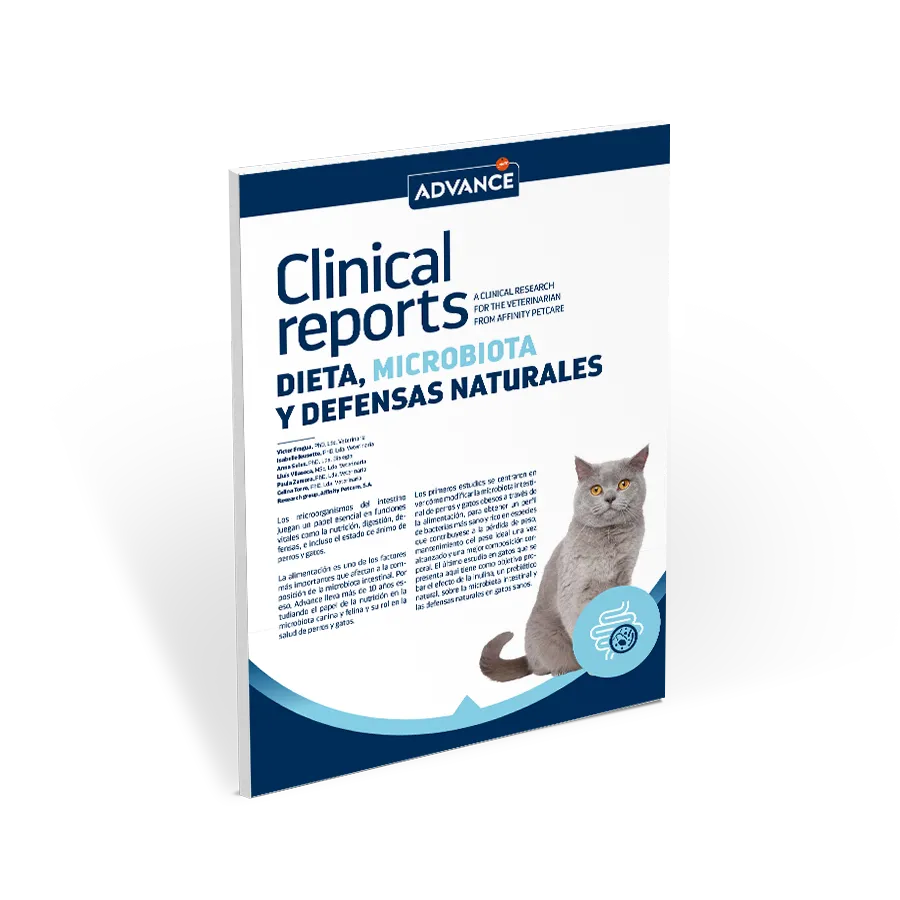 ADV_CR_microbiota_CAT_miniatura ADV_CR_microbiota_CAT_miniatura