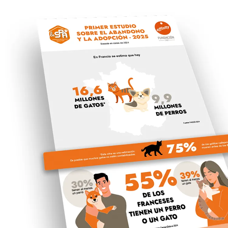 Infografía del estudio e abandono en Francia 2025