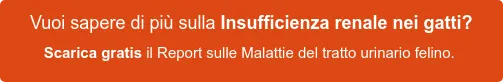 Vuoi sapere di più sulla Insufficienza renale nei gatti? Scarica gratis la prima parte del Research Report sulle Malattie del tratto urinario felino. Vuoi sapere di più sulla Insufficienza renale nei gatti? Scarica gratis la prima parte del Research Report sulle Malattie del tratto urinario felino.