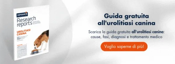 Nueva llamada a la acción Nueva llamada a la acción