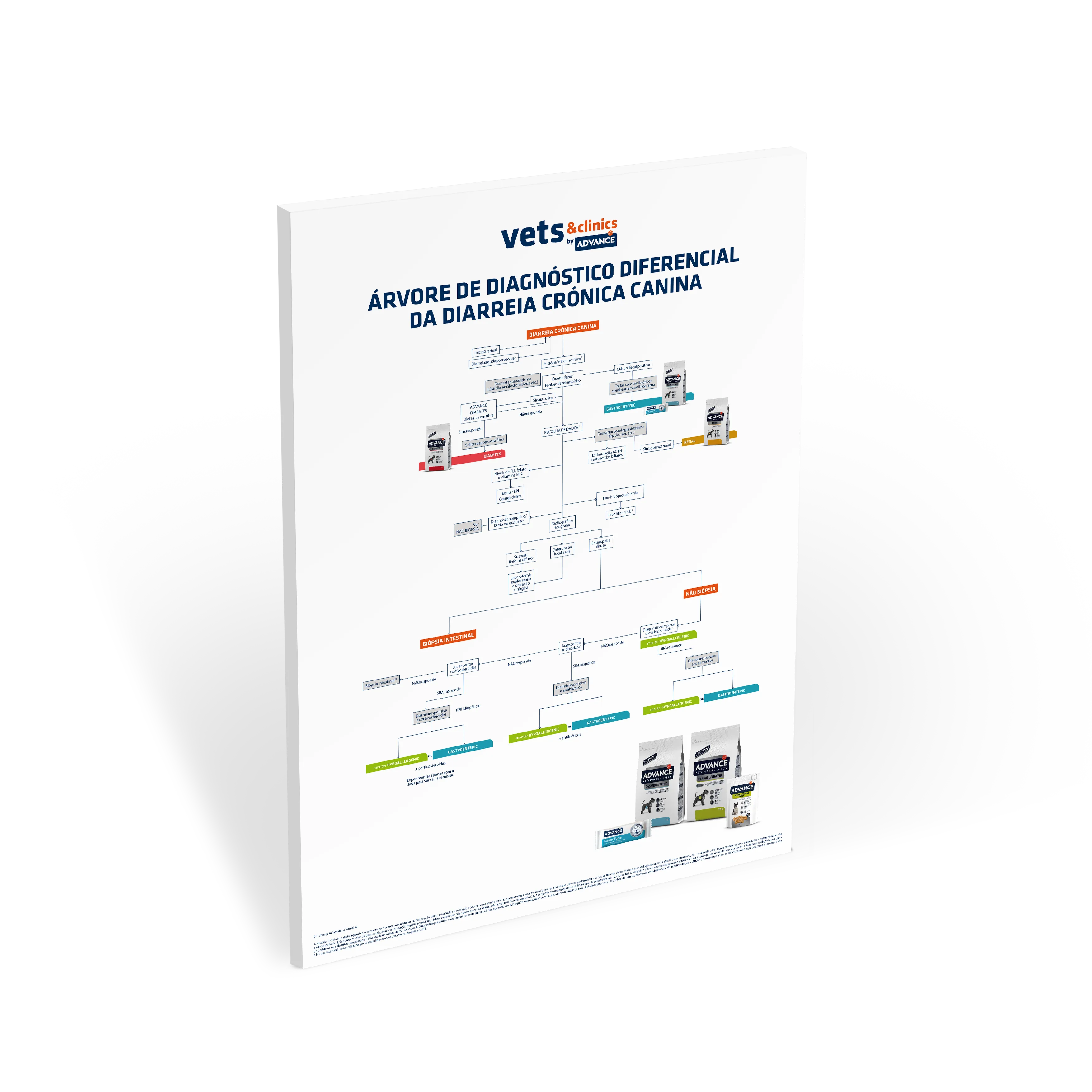 poster-diarreias-caninas poster-diarreias-caninas