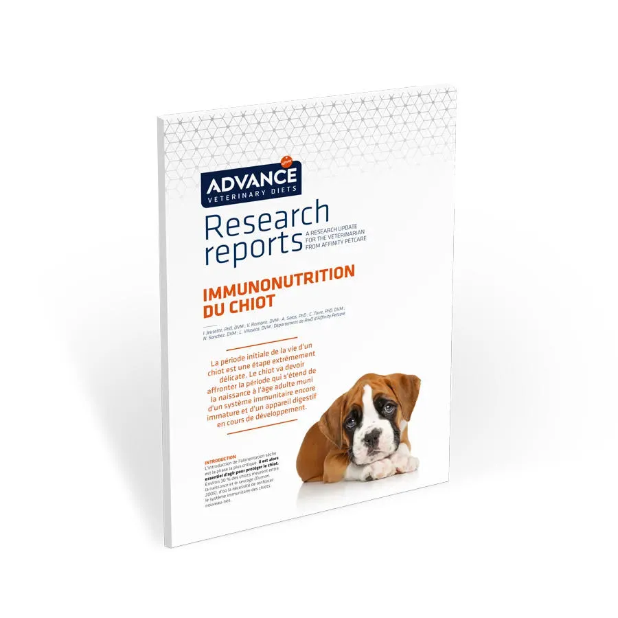 Tratamiento de los trastornos gastrointestinales en perros Tratamiento de los trastornos gastrointestinales en perros