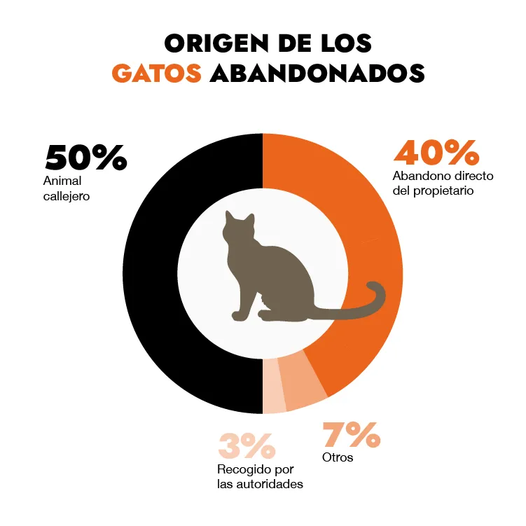 Origen de los gatos acogidos en Francia