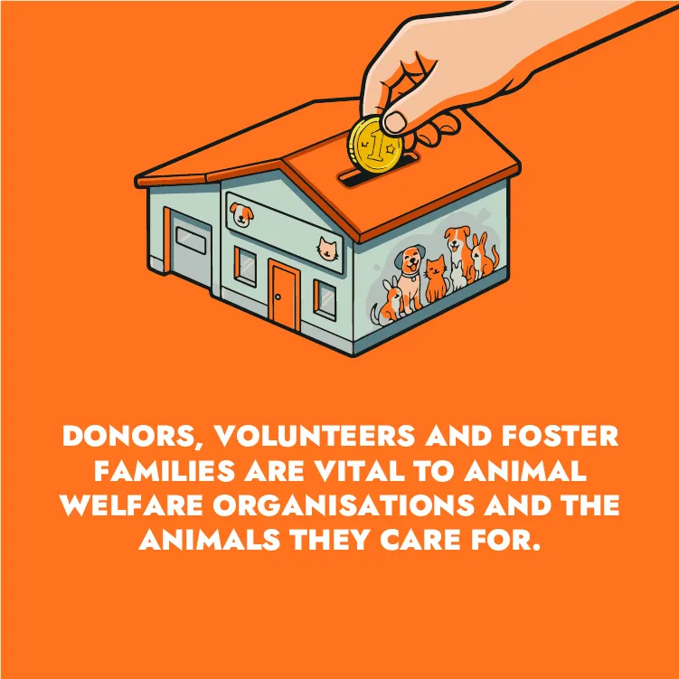 compromiso donantes compromiso donantes