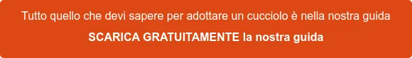 Tutto quello che devi sapere per adottare un cucciolo SCARICA GRATUITAMENTE la nostra guida Tutto quello che devi sapere per adottare un cucciolo SCARICA GRATUITAMENTE la nostra guida