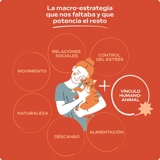 Ilustración de una persona abrazando a un gato. El vínculo humano-animal aparece junto al descanso, la alimentación, el movimiento, la naturaleza, las relaciones sociales y el control del estrés.