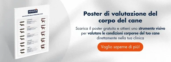 New call-to-action New call-to-action