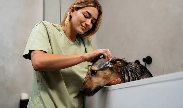 Mujer bañando a un perro en la bañera