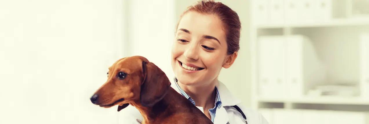 El trabajo del Auxiliar Técnico Veterinario: funciones claves en la ...