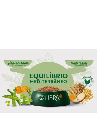 Equilíbrio mediterrânico:
receitas equilibradas, completas e
variadas