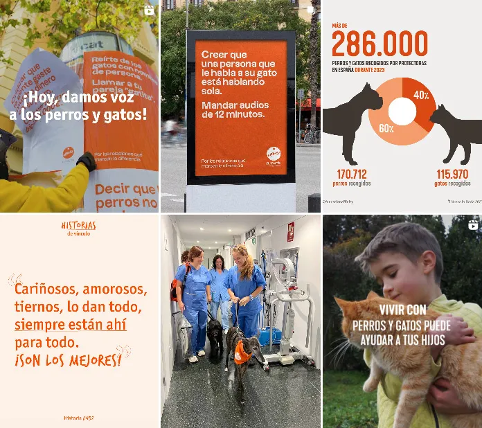miniaturas del perfil de instagram de la Fundación Affinity