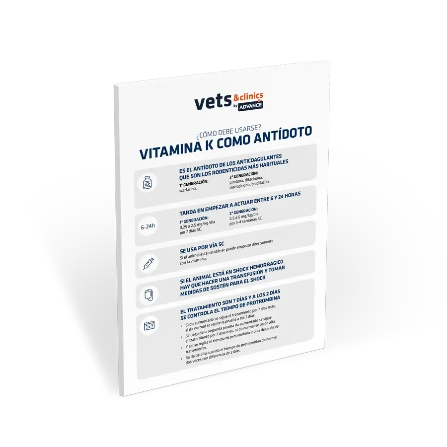 Infografía Vitamina K como antídoto: ¿cómo debe usarse? Infografía Vitamina K como antídoto: ¿cómo debe usarse?
