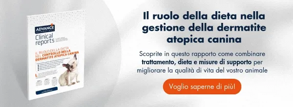 Dermatite atopica canina Dermatite atopica canina