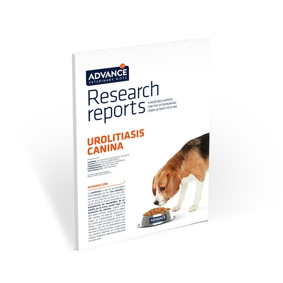 Guía: Urolitiasis canina Guía: Urolitiasis canina