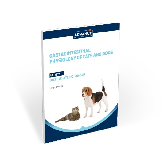 guia-gastrointestinal-parte2 guia-gastrointestinal-parte2