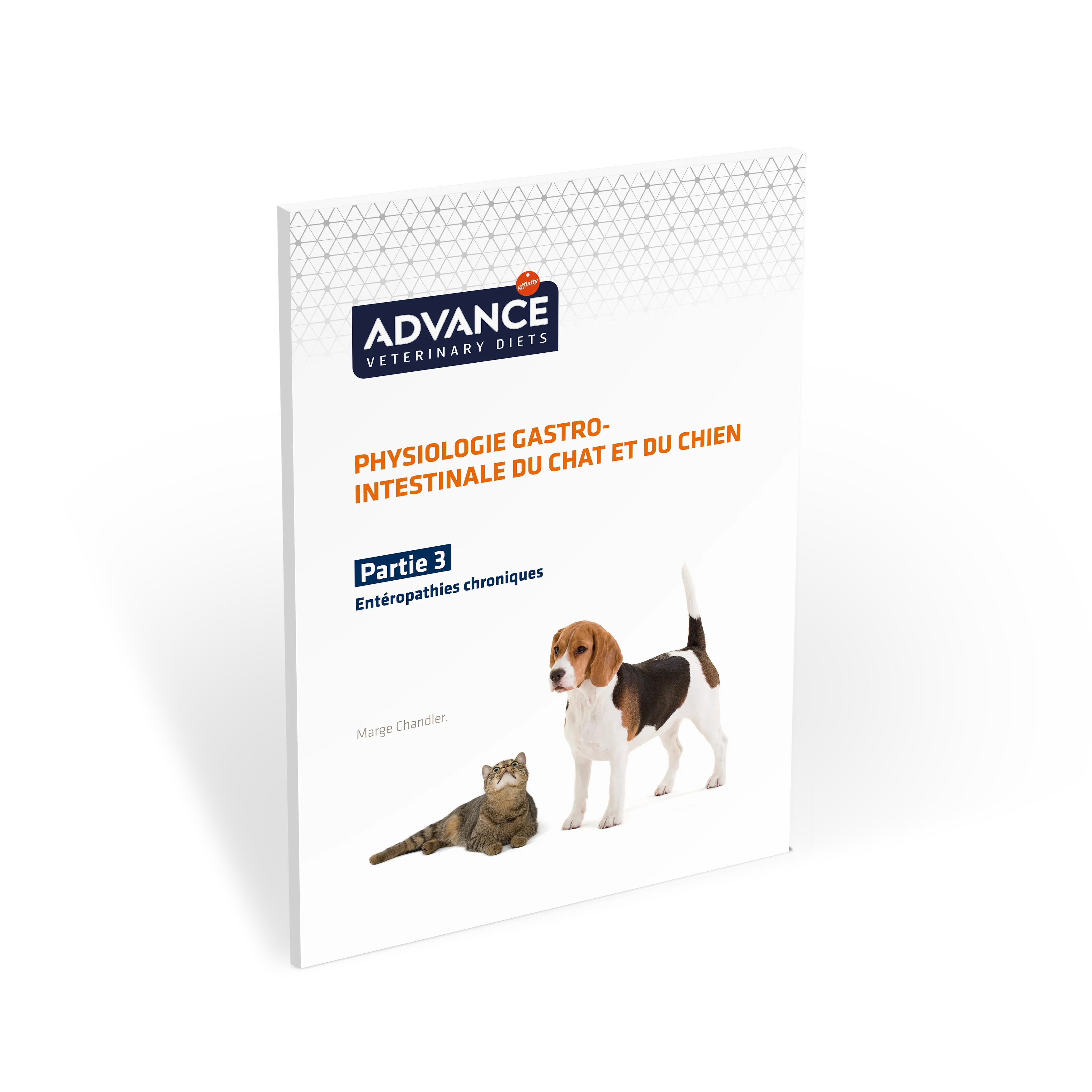 Miniatura_ebook_AFFINITY_GuíaGastro_ESP_Parte3_FR Miniatura_ebook_AFFINITY_GuíaGastro_ESP_Parte3_FR