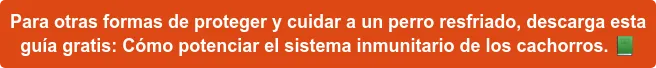 Para otras formas de proteger y cuidar a un perro resfriado, descárgate esta guía gratis: Cómo potenciar el sistema inmunitario de los cachorros Para otras formas de proteger y cuidar a un perro resfriado, descárgate esta guía gratis: Cómo potenciar el sistema inmunitario de los cachorros