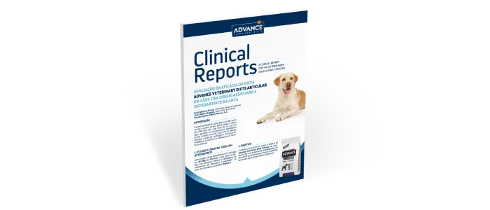 Clinical Report Articular Clinical Report Articular