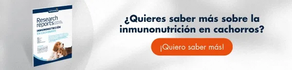 ¡Quiero la guía gratuita sobre inmunonutrición en cachorros! ¡Quiero la guía gratuita sobre inmunonutrición en cachorros!