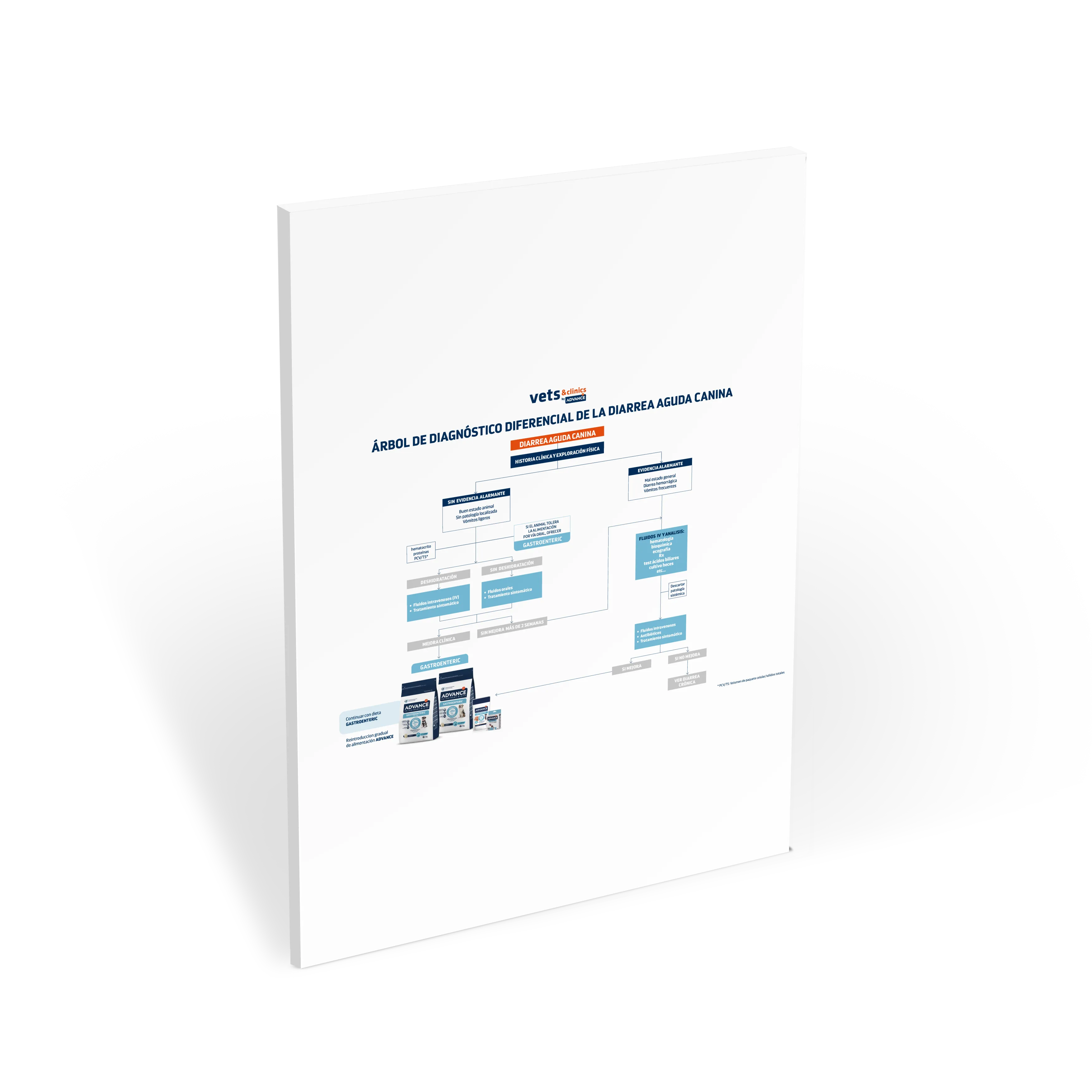 Miniatura_ARBOL DIARREA AGUDA-GASTROENTERIC-A3_ES Miniatura_ARBOL DIARREA AGUDA-GASTROENTERIC-A3_ES