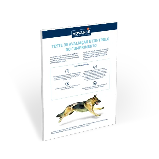 Portada_Test de Movilidad_perro Portada_Test de Movilidad_perro