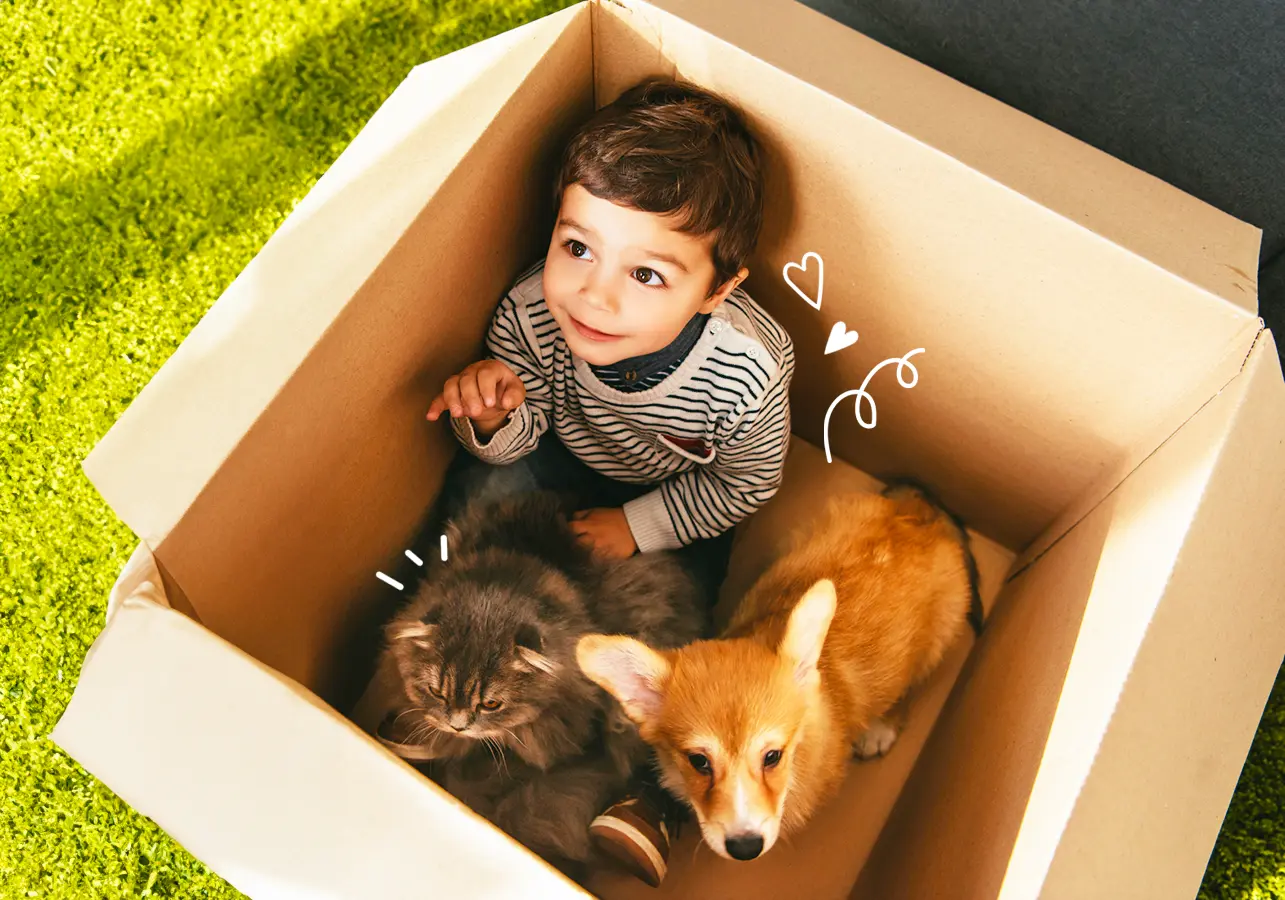 Niño en una caja de cartón con un perro y un gato