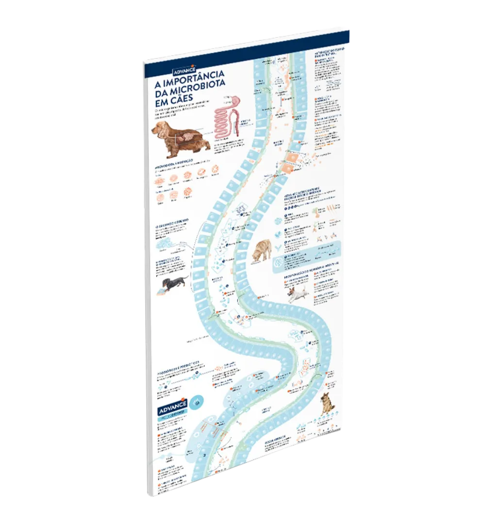 Microbiota em caes Microbiota em caes
