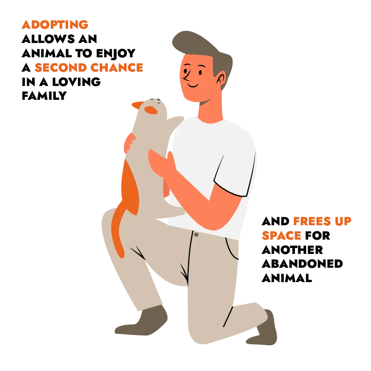 Razones para adoptar