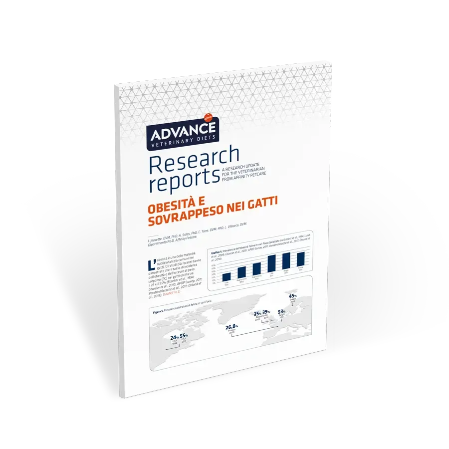 Research Report: Obesità e sovrappeso nei gatti Research Report: Obesità e sovrappeso nei gatti