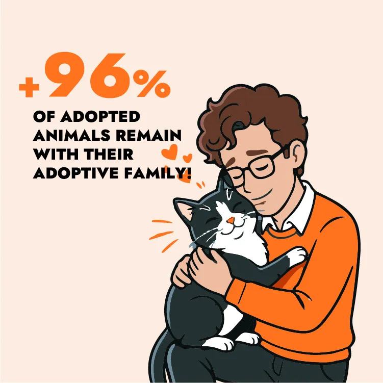 resultado adopción resultado adopción