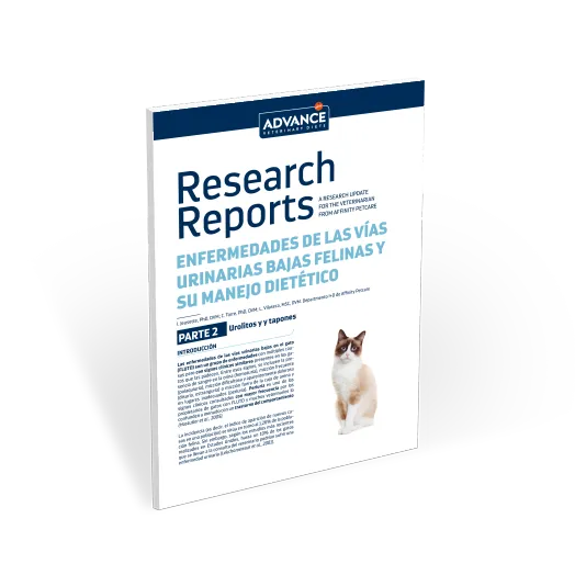 RR-urinary-feline-part 2 RR-urinary-feline-part 2