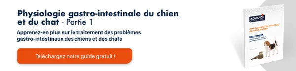Nueva llamada a la acción Nueva llamada a la acción