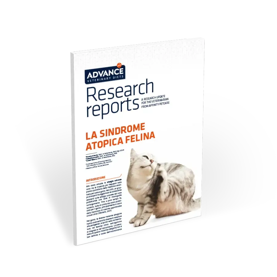 RR La sindrome atopica felina RR La sindrome atopica felina