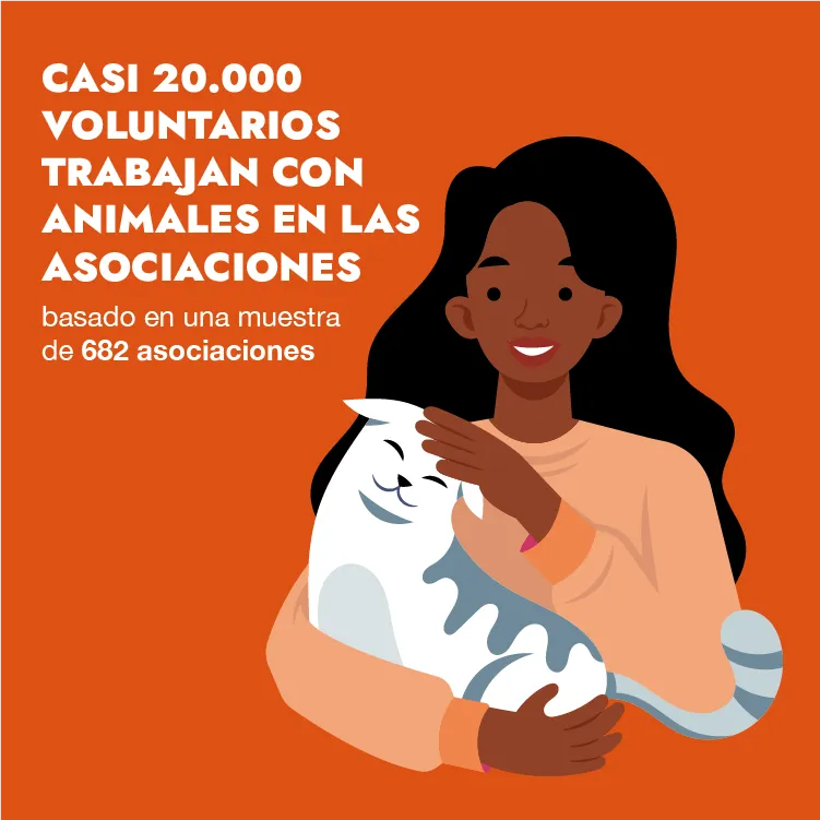 Número de voluntarios que trabajan en los centros de acogida en Francia