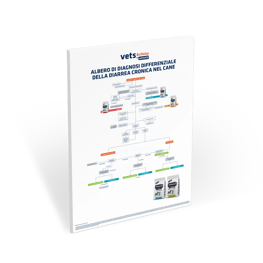 poster-diagnosi-differenziale poster-diagnosi-differenziale