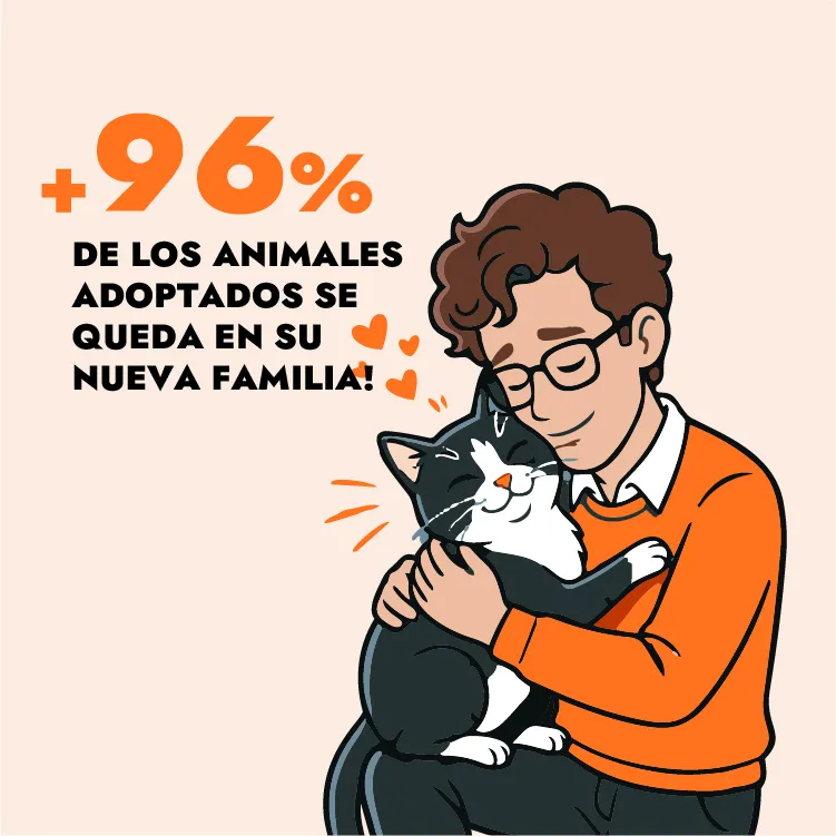 resultado adopción resultado adopción