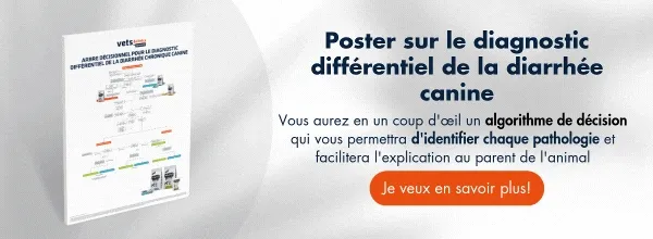 ↓Téléchargez gratuitement ici↓ Arbre décisionnel pour le diagnostic différentiel de la diarrhée chronique canine ↓Téléchargez gratuitement ici↓ Arbre décisionnel pour le diagnostic différentiel de la diarrhée chronique canine