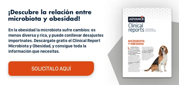 Microbiota Microbiota