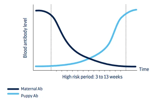 Curve of high risk period vs blood antibody level Curve of high risk period vs blood antibody level