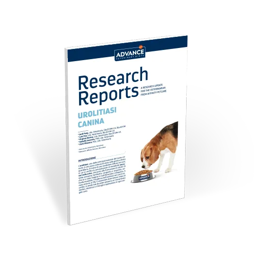 RR urolitiasi canina RR urolitiasi canina